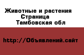  Животные и растения - Страница 17 . Тамбовская обл.